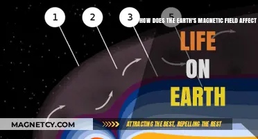 Shielded by the Invisible: Earth's Magnetic Field and Life