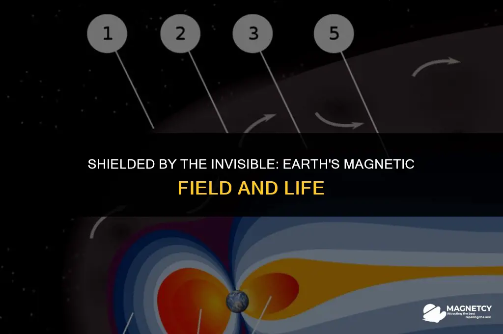 how does the earth