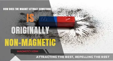 Unlocking Magnetic Mysteries: How Non-Magnetic Materials Become Attracted
