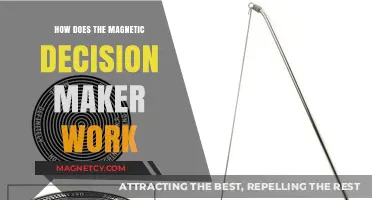 Unveiling the Mystery: How Magnetic Decision Makers Influence Your Choices
