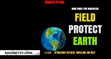 Shielding Our Planet: The Vital Role of Earth's Magnetic Field