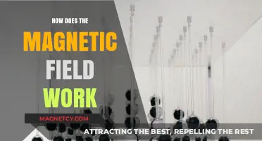 Unveiling the Mysteries: How Magnetic Fields Shape Our World