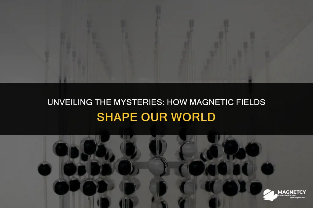 how does the magnetic field work