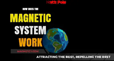 Unveiling the Mysteries: How Earth's Magnetic System Works