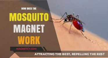 Unveiling the Science Behind Mosquito Magnets: A Comprehensive Guide