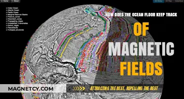 Decoding the Ocean Floor's Magnetic Memory: A Scientific Journey