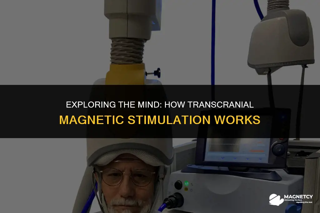 how does transcranial magnetic stimulation work