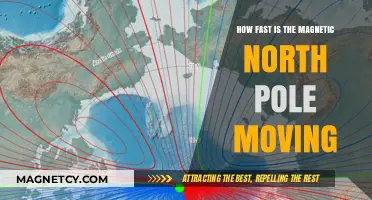 Shifting Compass: The Rapid Movement of Earth's Magnetic North Pole