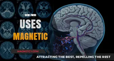 Unveiling Brain Activity: How fMRI Utilizes Magnetic Fields to Map Cognition