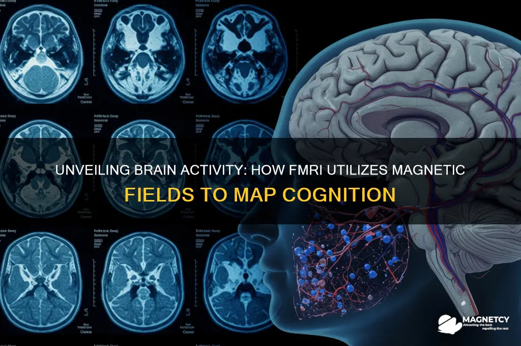 how fmri uses magnetic