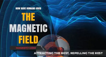 Exploring Humanity's Innovative Uses of Earth's Magnetic Field