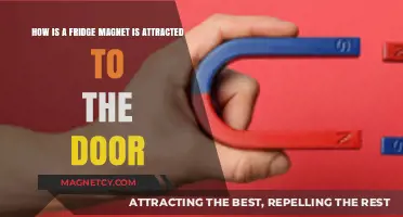 Why Fridge Magnets Stick: The Science Behind Magnetic Attraction