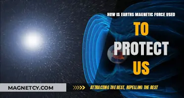 Earth's Magnetic Shield: Safeguarding Life from Cosmic Radiation and Solar Winds