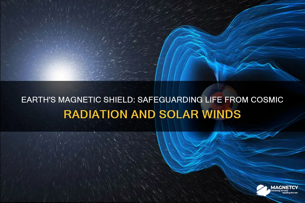 how is earths magnetic force used to protect us