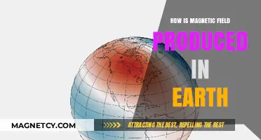 Unveiling Earth's Magnetic Shield: The Geodynamo Effect