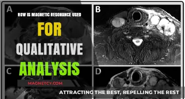 Exploring Magnetic Resonance Techniques for Qualitative Material Analysis