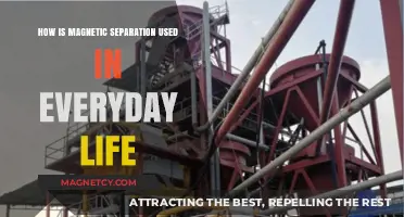 Magnetic Separation: Everyday Applications in Recycling, Healthcare, and Industry