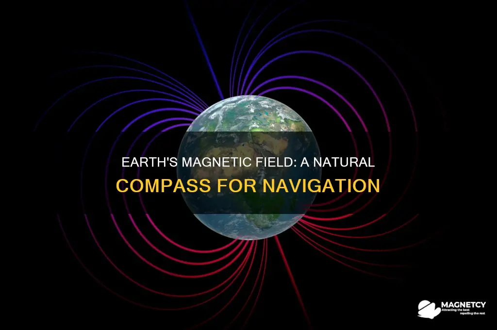 how is the earths magnetic field used for navigation