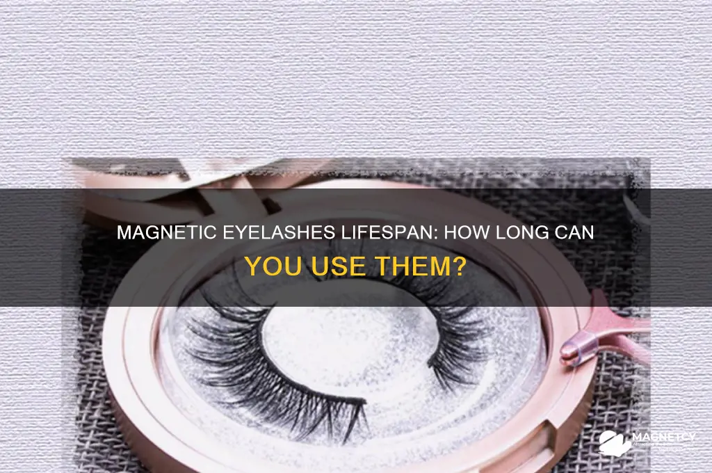 how long can you use magnetic eyelashes