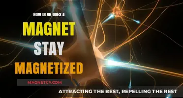 The Enduring Power of Magnets: A Comprehensive Guide to Magnetization Longevity