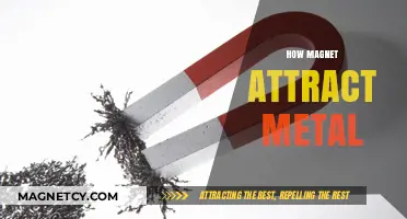 Understanding Magnetic Forces: How Magnets Attract Metal Objects