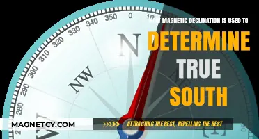 Navigating True South: Understanding Magnetic Declination's Role in Direction Finding