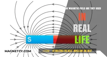 Real-Life Applications of Magnetic Fields: Innovations and Everyday Uses