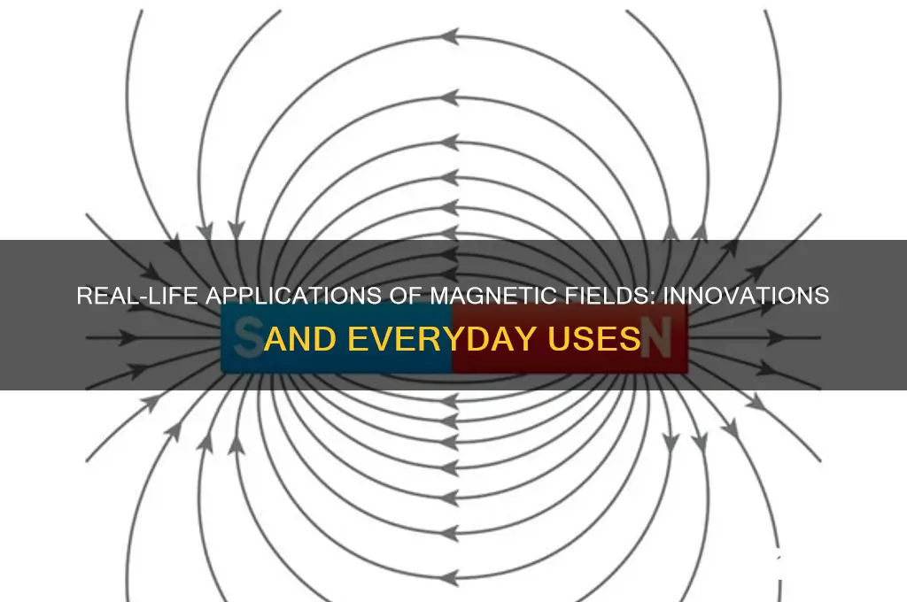 how magnetic field are they used in real life