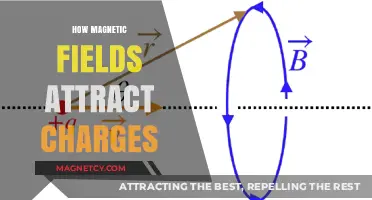 Understanding Magnetic Fields: How They Attract and Influence Electric Charges