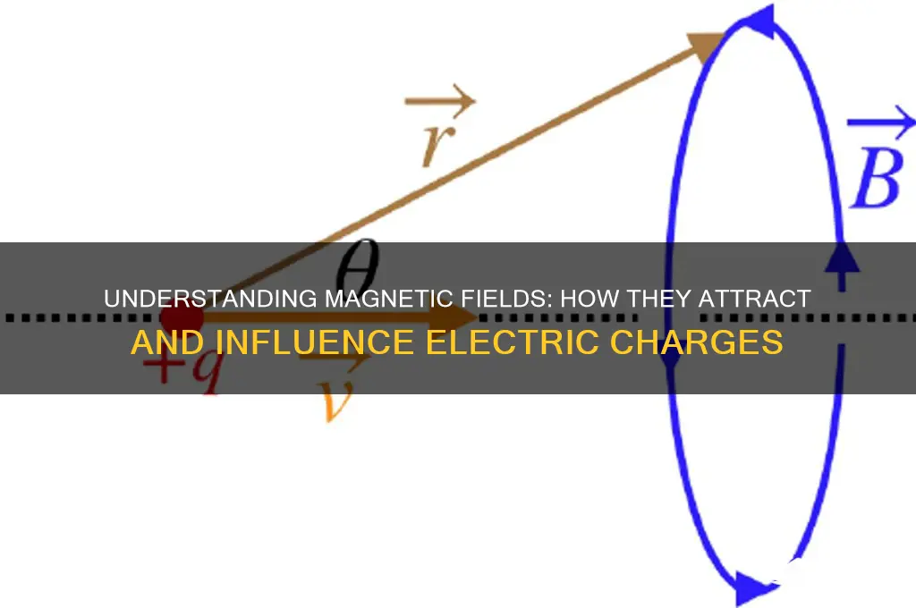 how magnetic fields attract charges