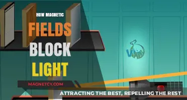 Unveiling the Mystery: How Magnetic Fields Interact with Light