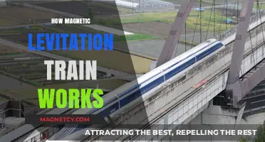 Exploring the Future: How Magnetic Levitation Trains Work