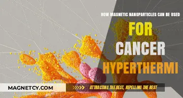 Magnetic Nanoparticles: Revolutionizing Cancer Treatment with Hyperthermia Therapy