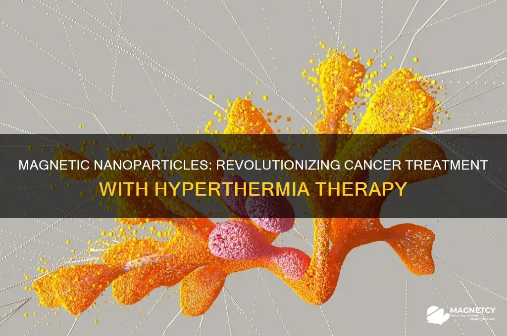 how magnetic nanoparticles can be used for cancer hyperthermia