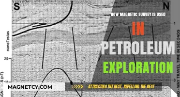 Magnetic Surveys: Unlocking Petroleum Exploration Potential Beneath the Earth's Surface