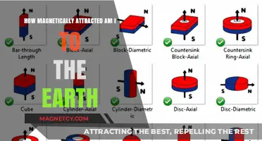 Earth's Magnetic Pull: Measuring My Personal Attraction to the Planet