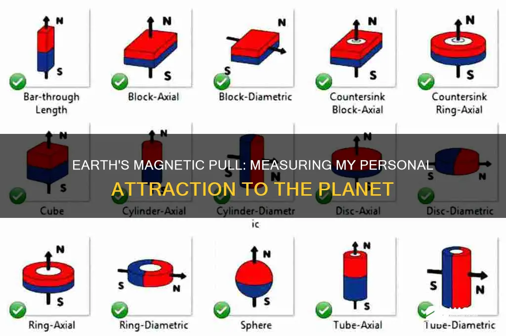 how magnetically attracted am i to the earth