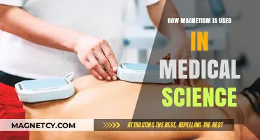 Magnetism's Medical Marvels: Applications in Diagnostics and Treatment