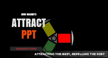 Understanding Magnetic Attraction: A Comprehensive Guide to How Magnets Work