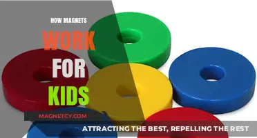 Exploring the Magic of Magnets: A Kid's Guide to Attraction and Repulsion