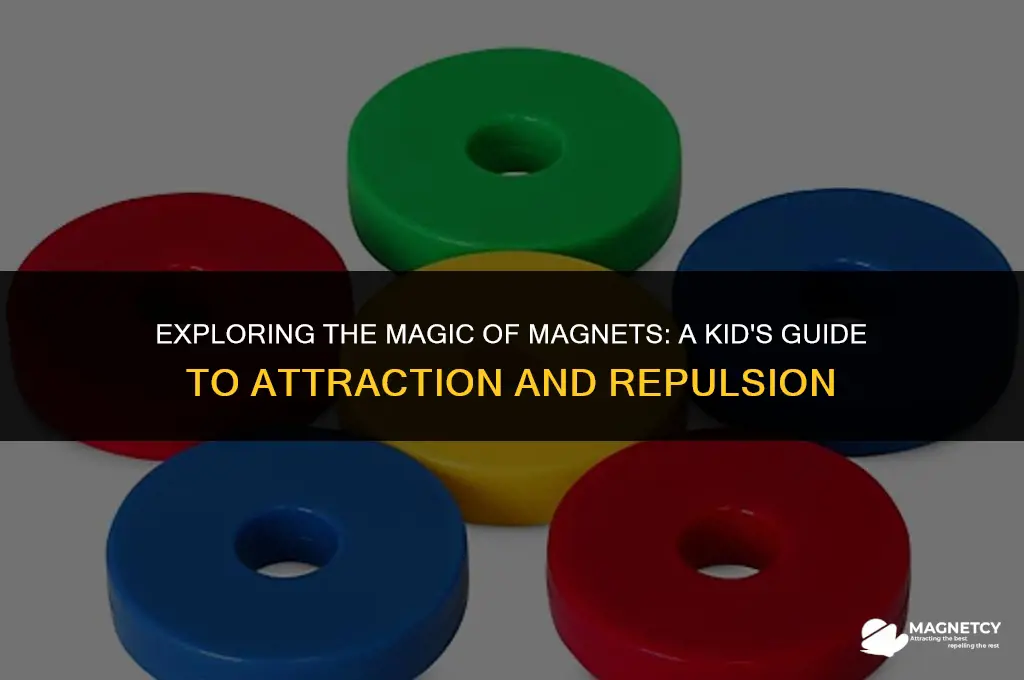how magnets work for kids