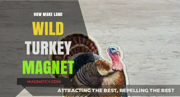 Crafting a Wild Turkey Magnet for Your Homestead Haven