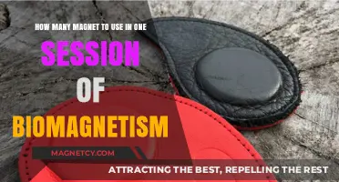 Optimal Magnet Count for Effective Biomagnetism Therapy Sessions