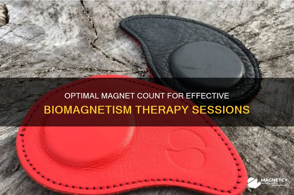 how many magnet to use in one session of biomagnetism