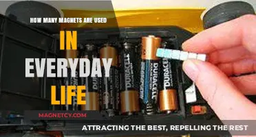 Magnets Everywhere: Exploring Their Hidden Roles in Daily Life