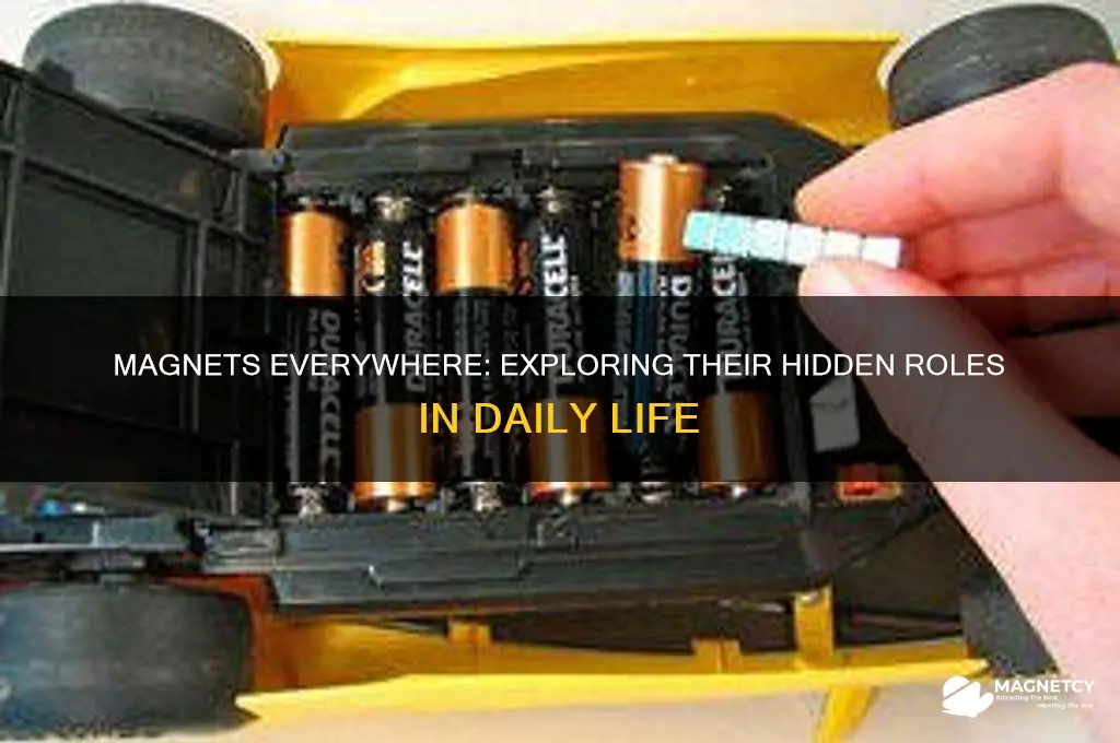 how many magnets are used in everyday life