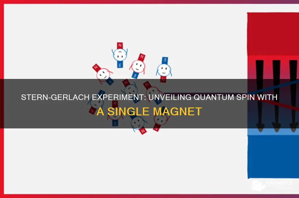 how many magnets did the stern-gerlack experiment use
