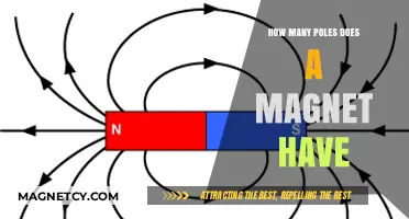 Exploring Magnetism: The Dual Nature of Magnetic Poles