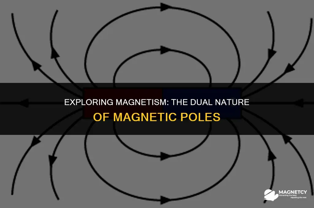 how many poles does a magnet have