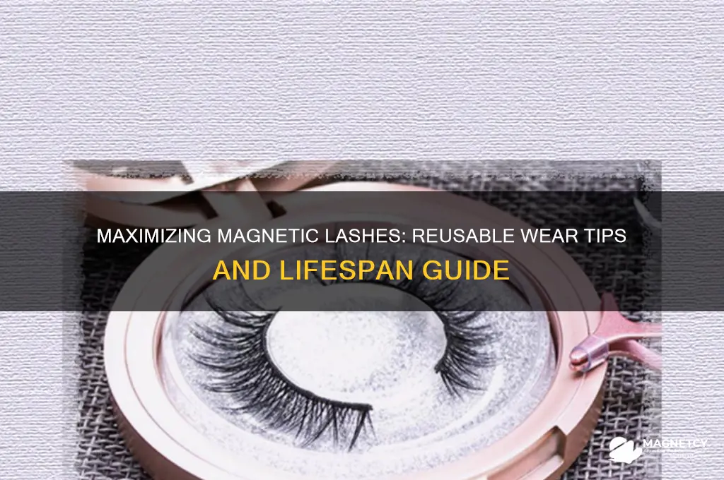 how many times can i use magnetic lashes